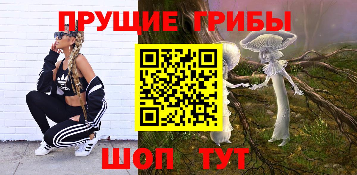 Кимры  Псилоцибиновые грибы Psilocybine cubensis  Вход с VPN  Псилоцибиновые грибы Cubensis 