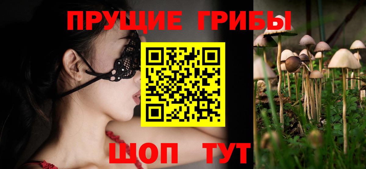 Галлюциногенные грибы прущие грибы Кимры